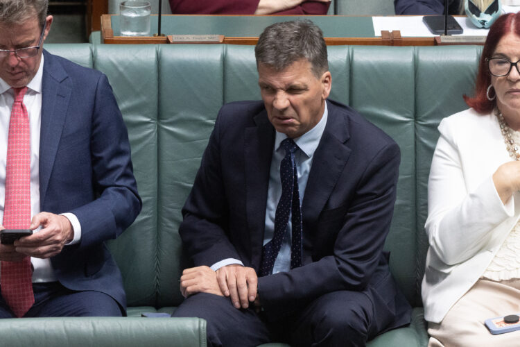 The Point Live: Liberal leadership challenge firming, protesters condemn police response at Sydney rally