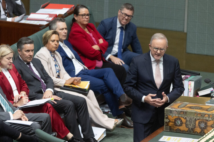 The Point Live: Liberal leadership challenge firming, protesters condemn police response at Sydney rally