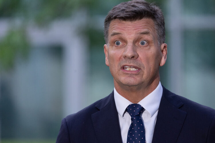 The Point Live: Angus Taylor's first parliament sitting in the shadow big chair, Albanese government focussed on Iran response