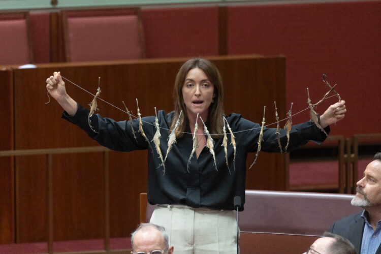 The Point Live: Federal government facing reality on fuel rationing, Liberals deal with SA fall out. As it happened.