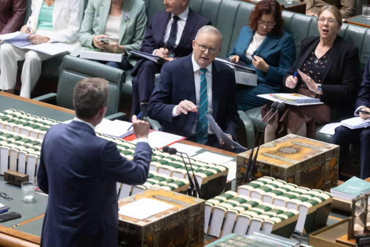 The Point Live: Estimates day three, Labor announces new employment services model. As it happened.