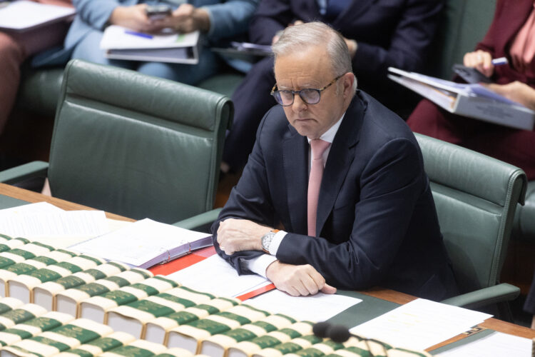 The Point Live: Labor and the Greens sees small poll bounce, fuel prices ease. As it happened