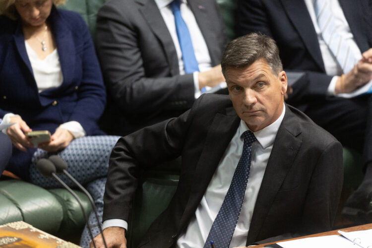 The Point Live: Labor and the Greens sees small poll bounce, fuel prices ease. As it happened