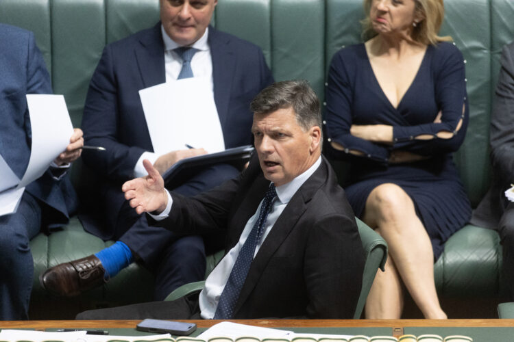 The Point Live: Government spruiks July 1 changes, Coalition still looking for a cohesive message. As it happened.
