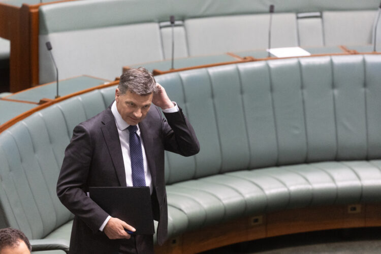 The Point Live: Migration on the agenda, GST fight back on, offset drama heats up for Greens. As it happened.
