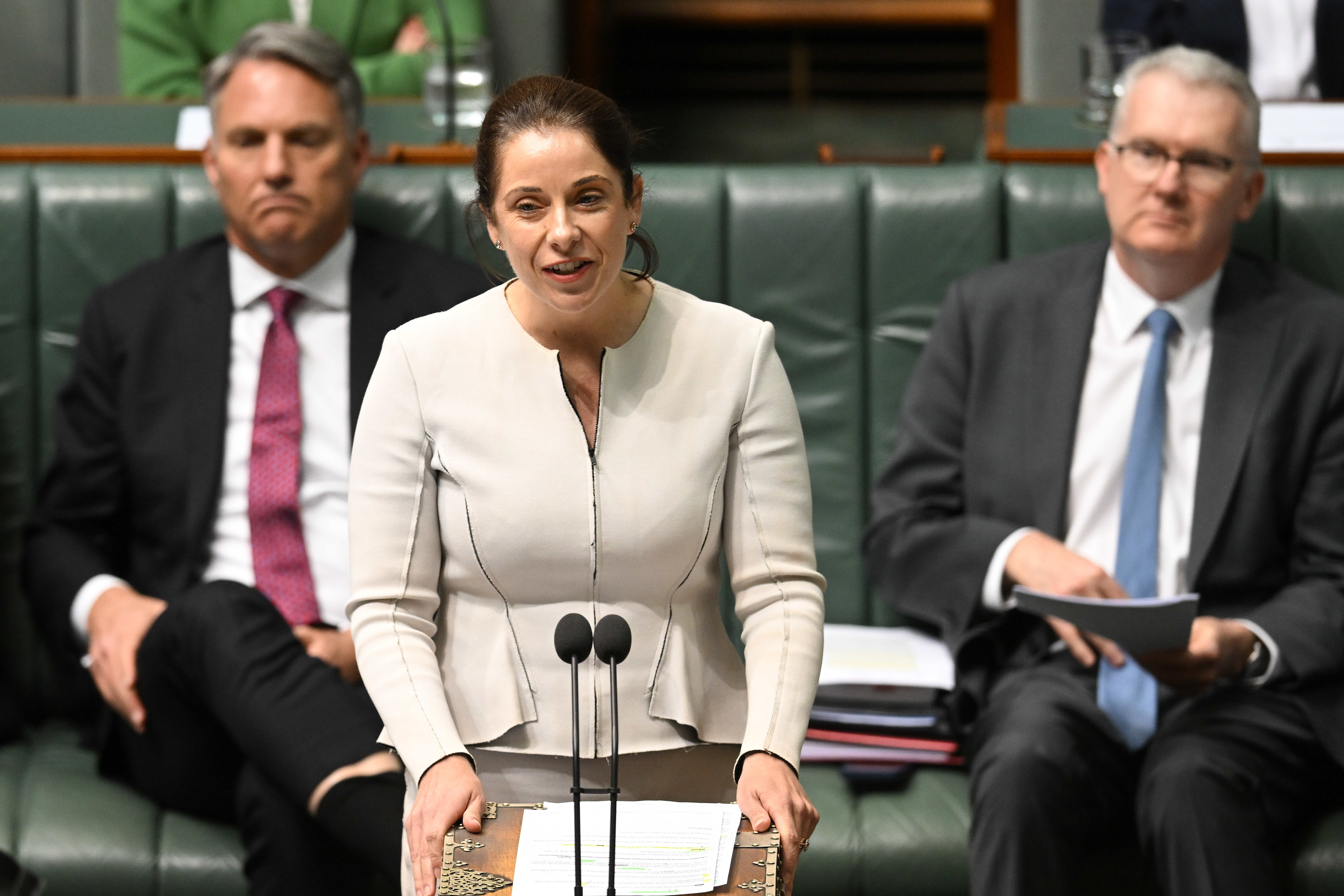 The Point Live: Red Lines legislation to be introduced in both houses, new Labor invite only grants scheme under microscope, Hanson under pressure. As it happened.