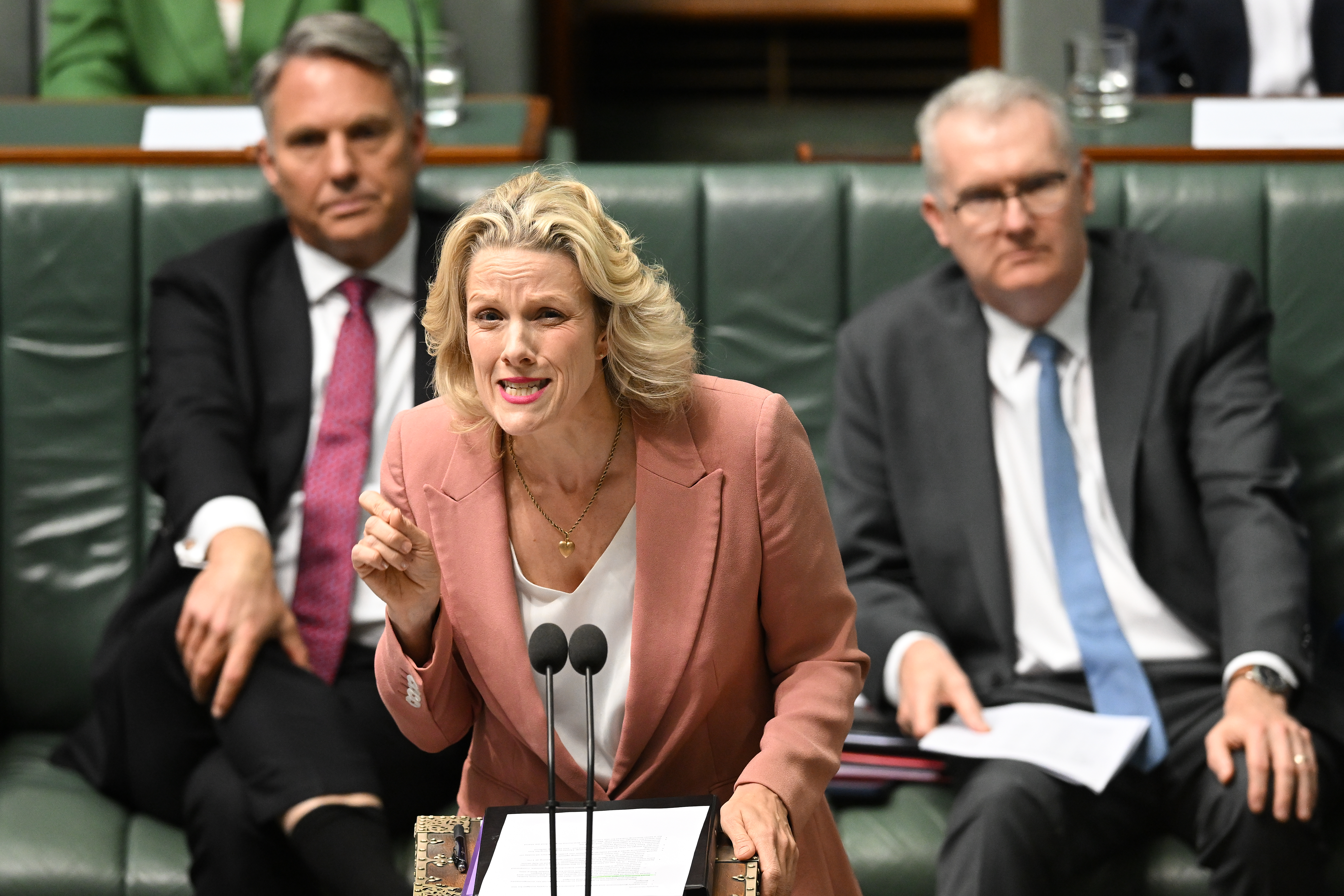 The Point Live: Red Lines legislation to be introduced in both houses, new Labor invite only grants scheme under microscope, Hanson under pressure. As it happened.